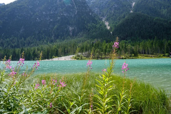 Panorama Del Lago Dobbiaco Montagna Delle Dolomiti — Foto Stock