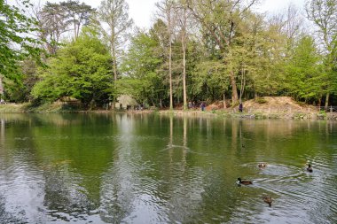 Monza: İtalya 'da hayvan ve ağaçlarla dolu Villa Villa Parkı (Royal Villa) manzarası