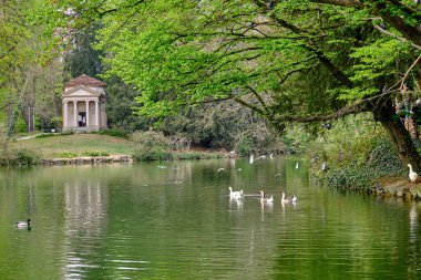 Monza: İtalya 'da hayvan ve ağaçlarla dolu Villa Villa Parkı (Royal Villa) manzarası