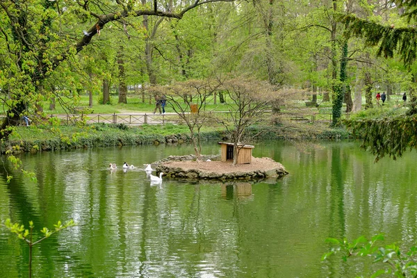 Monza Vista Parque Villa Reale Villa Real Com Animais Árvores — Fotografia de Stock