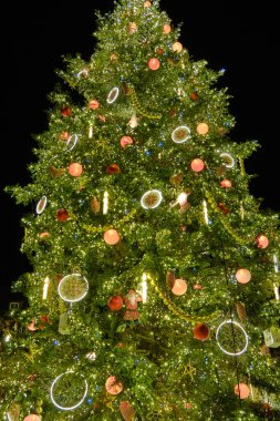 Alsace, Aralık: Strasbourg 'un eski şehir merkezinin renkli evleri manzarası.