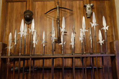 Alsace, Aralık: Haut-Koenigsbourg kalesinin duvarından Alsas panorama ve üzüm bağlarının üzerinden Kara Orman 'a bakın