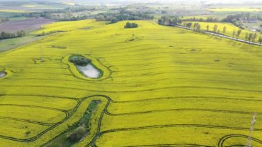 İnsansız hava aracının tecavüz tarlası..