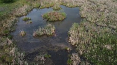 Drone 'dan kunduz kulübeleri