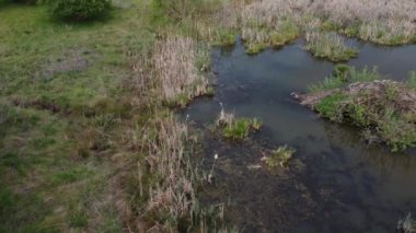 Drone 'dan kunduz kulübeleri