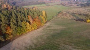 Polonya 'daki bir İHA' dan Sonbahar Sıcaklığı