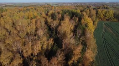 Polonya 'da Warmia' da sonbahar drone atışları