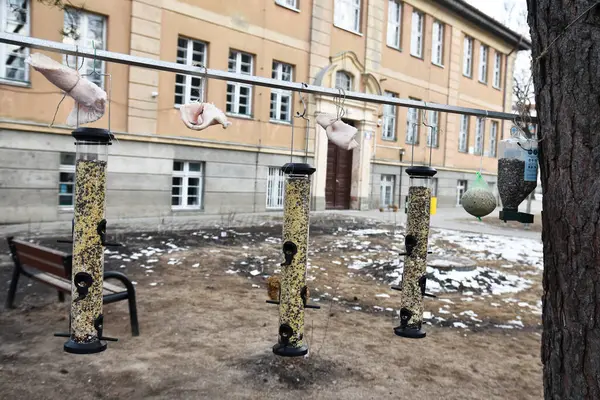 Kış kuşları ve pastırmalar.