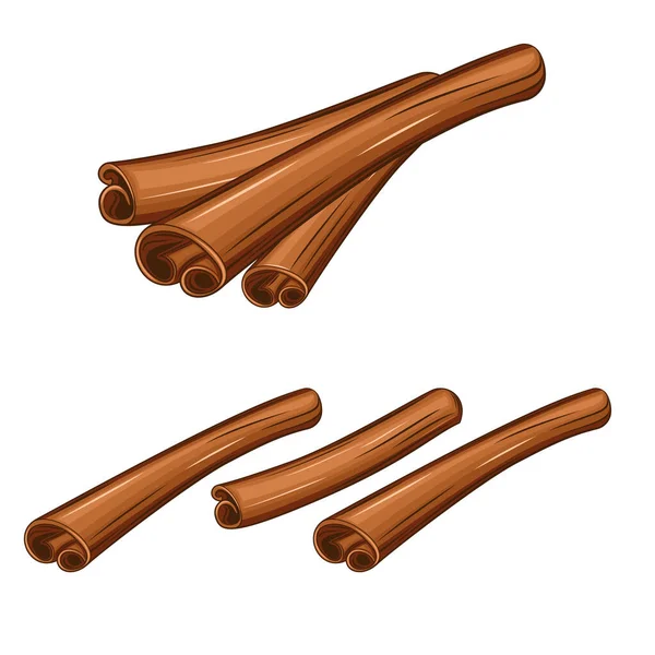 Cinnamon Sticks Set Cooking Condiment — Stock Vector