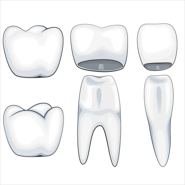 Limpieza Dental Ilustración Dientes Saludables Vector Dentista Ilustración Cuidado Oral — Vector de stock