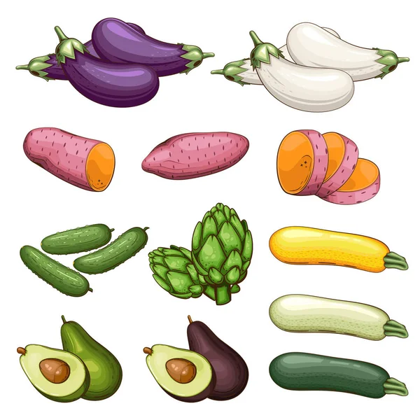 新鲜蔬菜说明 蔬菜配料 — 图库矢量图片