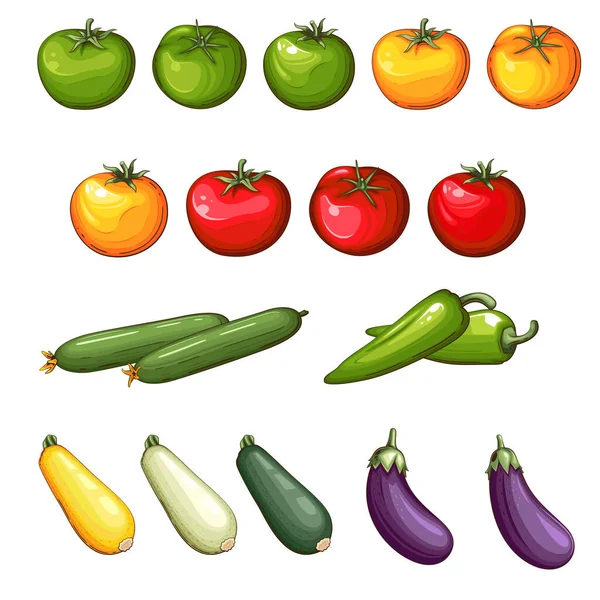 Illustration Frisches Gemüse Gemüsemix — Stockvektor