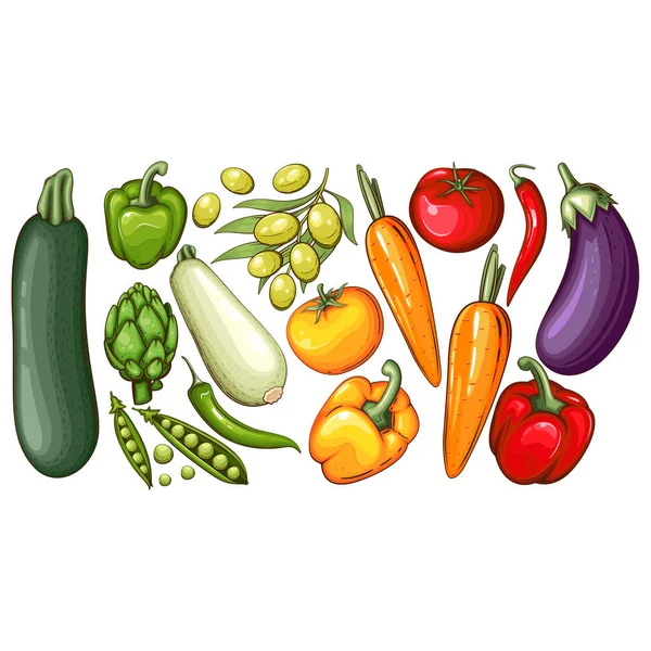Färska Grönsaker Illustration Grönsaker Blandning Zucchini Tomat Lök Morot Vitlök — Stock vektor