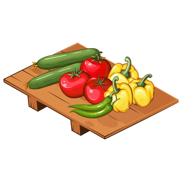 Illustration Für Frisches Gemüse Gemüsemischung Aus Tomaten Gurken Chili Und — Stockvektor