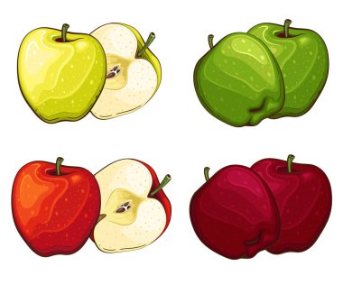 Apple izole vektör çizimi. Beyaz arka planda izole edilmiş renkli meyveler. Meyve koleksiyonu. 