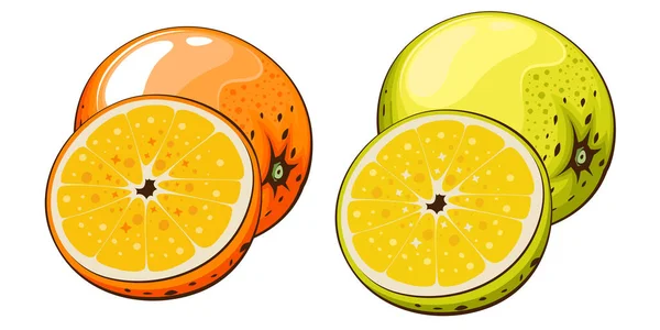 Ilustración Vectorial Aislada Naranja Frutas Coloridas Ilustraciones Aisladas Sobre Fondo — Vector de stock