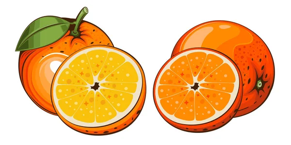 Orangefarbene Vektor Illustration Früchte Bunte Illustrationen Isoliert Auf Weißem Hintergrund — Stockvektor