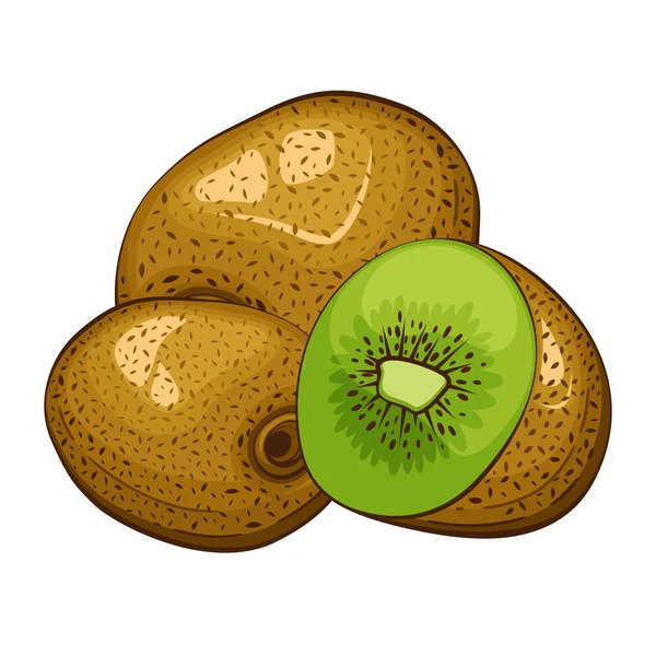 Ilustración Vectorial Aislada Kiwi Frutas Coloridas Ilustraciones Aisladas Sobre Fondo — Vector de stock