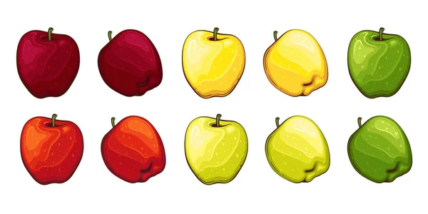 Apple孤立的向量示例 色彩艳丽的水果插图 背景白色 水果的收集 — 图库矢量图片