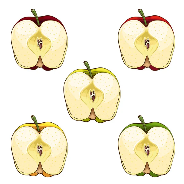 Ilustracja Odizolowanego Wektora Jabłka Owoce Kolorowe Ilustracje Odizolowane Białym Tle — Wektor stockowy