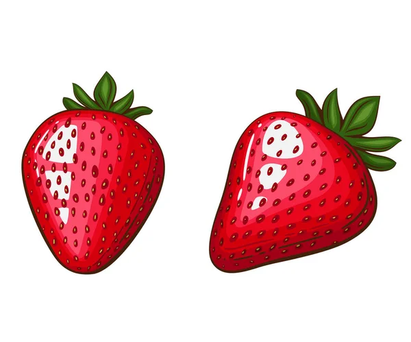Erdbeere Isolierte Vektorillustration Früchte Bunte Illustrationen Isoliert Auf Weißem Hintergrund — Stockvektor