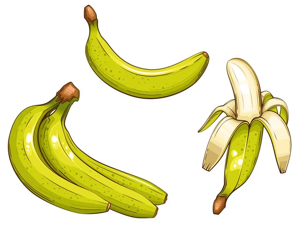Illustration Vectorielle Isolée Bananes Fruits Illustrations Colorées Isolées Sur Fond — Image vectorielle