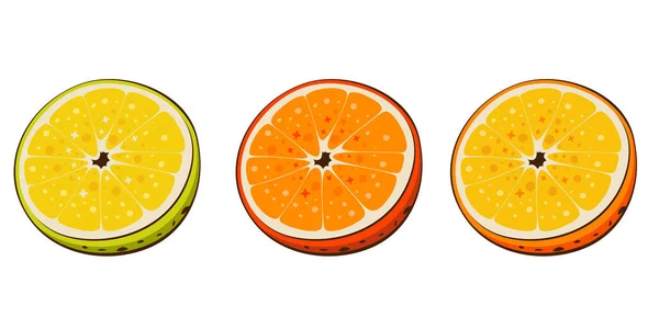 Ilustração Vetorial Isolada Laranja Frutas Ilustrações Coloridas Isoladas Sobre Fundo — Vetor de Stock