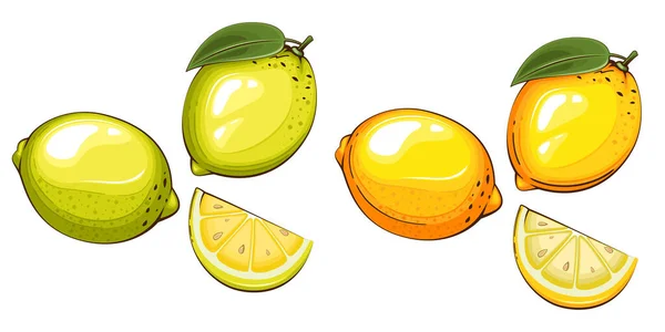 Лимони Ізольовані Векторні Ілюстрації Плоди Барвисті Ілюстрації Ізольовані Білому Тлі — стоковий вектор