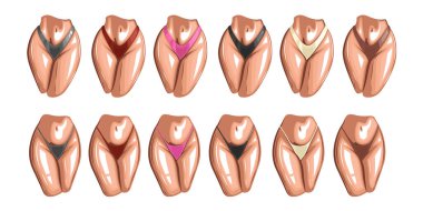 Sportive woman body wearing bikini front view. Women's sexy underwear. HAND DRAWN vector. Elegant bikinis on an athletic body. Lingerie Model Close up sexy female ass in bikini