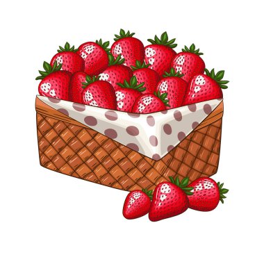 Çilek sepeti. Bir sepet meyve vektörü çizimi. Organik tasarım konsepti. El Çekimi Vektör meyve koleksiyonu. Meyveli sepet. Çiftlik ürünleri.