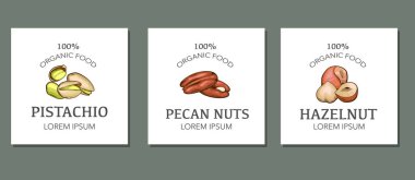 Nuts logo set templates. Pistachio, Pecan nuts,  Hazelnut isolated on white background. Nuts Cartoon Style. Organic food concept. clipart