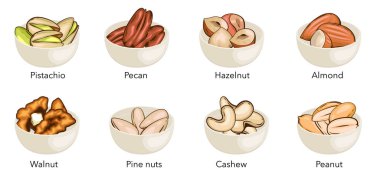 Nuts ni bowls vektör illüstrasyonu. Fıstık, ceviz, fındık, fındık, fındık, fındık, badem, fındık, fındık, fındık, fındık. Fıstık Çizgi Film Tarzı. Organik gıda konsepti.