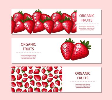 Meyve arka planı. Organik meyve pankartı tasarımı. Meyve yerleşimi. Çilekli çiftlik pankartı. Yerel yemek. Tarımsal Hasat El Çizimi Posteri. Pazarlama ve reklam şablonu
