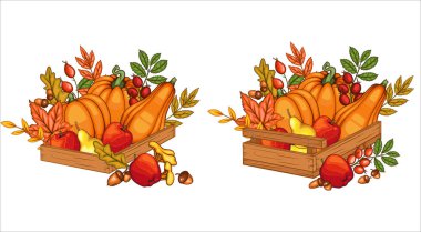 Sonbahar hasatı. Sonbahar Hasat ve Yaprakları ile Tahta Kutu. Autumn Harvest konsepti. Bal kabağı, elma, beyaz arka planda bir sepetteki mısır. Taze meyve çiftliği. Tarım. Şükran Günü Tasarımı