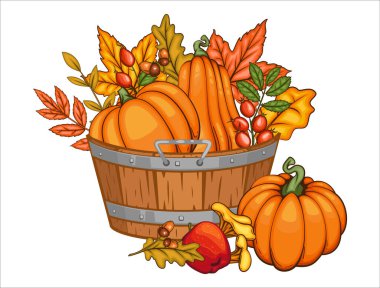 Sonbahar hasatı. Sonbahar Hasat ve Yaprakları ile Tahta Kutu. Autumn Harvest konsepti. Bal kabağı, elma, beyaz arka planda bir sepetteki mısır. Taze meyve çiftliği. Tarım. Şükran Günü Tasarımı