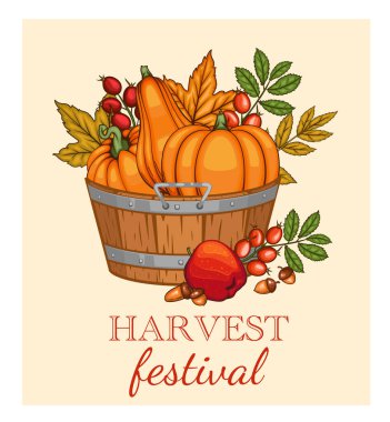 Sonbahar Hasat Festivali Bayrağı şablonu. Hasat Festivali Poster Tasarımı. Sonbahar Hasat ve Yaprakları ile Tahta Kutu. Balkabağı, elma, meşe palamudu ve sonbahar yeşili. Taze meyve çiftliği. Şükran Günü Tasarımı için sonbahar unsurları. Sonbahar Düzeni Şablonu