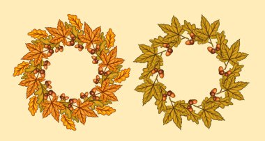 Sonbahar çelengi ve yapraklar yalıtılmış. Arka planda kal. Sonbahar çelengi çizimi. Sonbahar Çiçeği Tasarımı. Sonbahar botanik çelengi tasarımı. Hasat Festivali Çerçevesi. Hasat festivali için Botanik Tasarımı