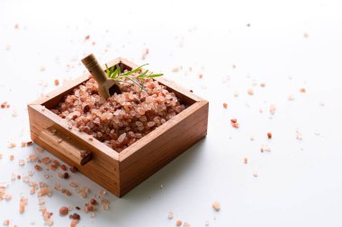 Himalaya pembe tuzu Himalaya 'dan baharatlı ve beyaz arka planda kopyalanmış bir bitkidir.