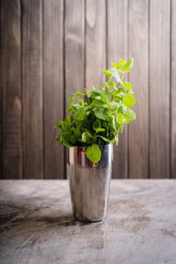 Alkolik yaz mojito kokteyli yapmak için barmen ekipmanı. Nane şekeri, limon, sallama, jigger, muddler ve buz..