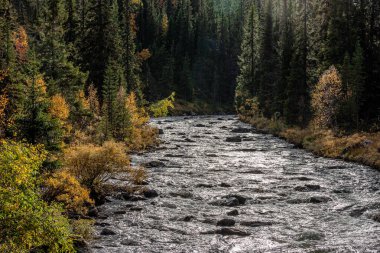 Rushing water in the mountains. Rushing water in Hoglekardalen, Sweden.  Autumn colours in the trees. Hoglekardalen is a part of Bydalsfjallen. The photo was taken in September 2023.