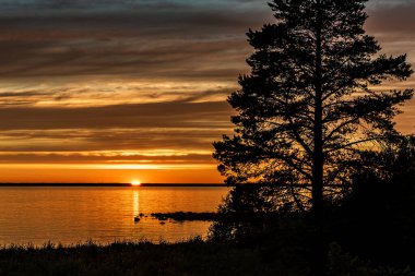 Denizde gün batımı. Bothnian Körfezi 'nde gün batımı. İsveç 'te sıcak bir yaz akşamı Holmon. 