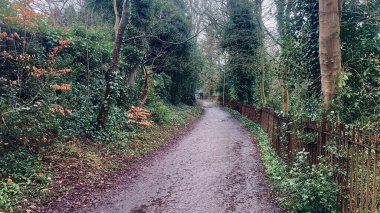 Worsley ana caddesine giden Salford 'daki Worsley Ormanı yolu.