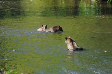 Belki biraz fazla yakındı.!