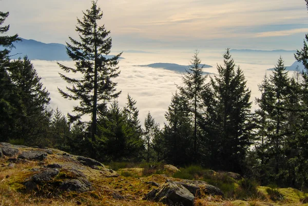 Hermosa Vista Desde Mirador Sobre Una Nube Valle Lleno Niebla — Foto de Stock