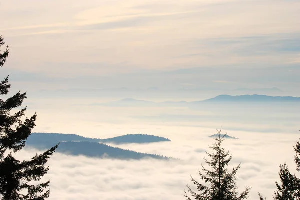 Piękny Widok Widoku Chmurę Mgłę Wypełnioną Doliną Kolumbii Brytyjskiej — Zdjęcie stockowe