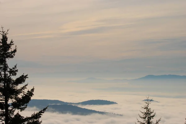 Piękny Widok Widoku Chmurę Mgłę Wypełnioną Doliną Kolumbii Brytyjskiej — Zdjęcie stockowe