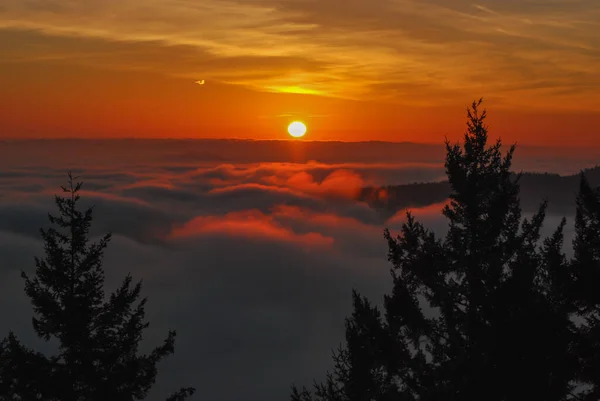 Stunning Sunrise Valley Filled Heavy Low Clouds British Columbia — Stock Photo, Image