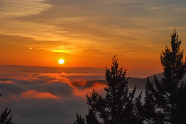 Orange Golden Sunrise Fog Filled Valley South End Vancouver Island — Stock Photo, Image