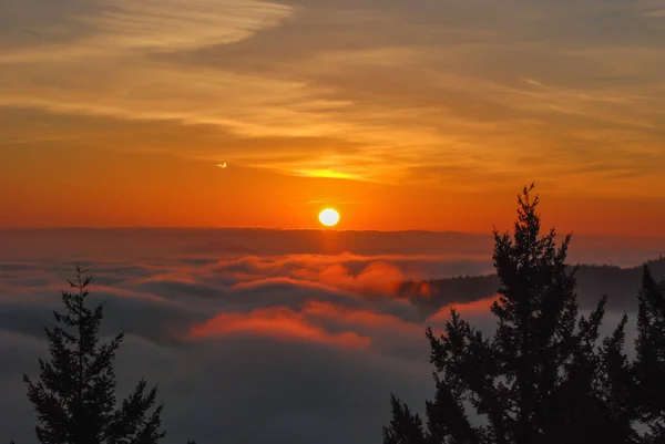 Pomarańczowy Złoty Wschód Słońca Nad Doliną Wypełnioną Mgłą Południowym Końcu — Zdjęcie stockowe