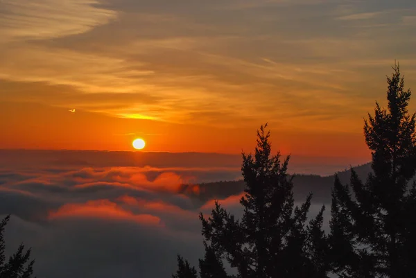 Orange Golden Sunrise Fog Filled Valley South End Vancouver Island — Stock Photo, Image